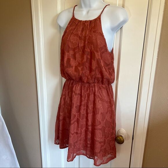 Rose color Francesca’s lace dress - Picture 3 of 15